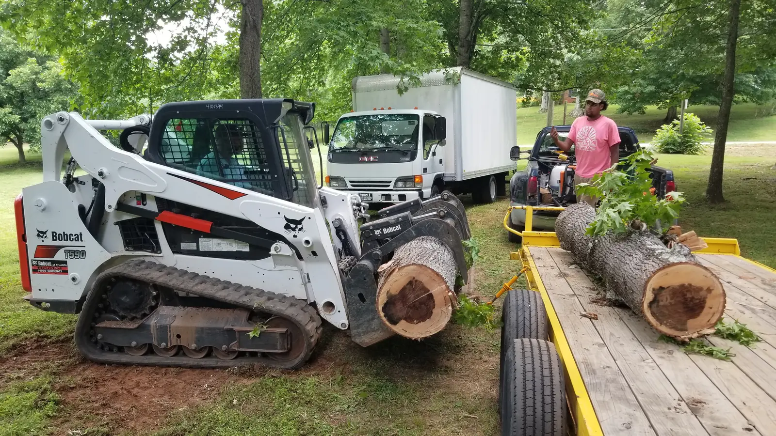 Bobcat grapple lifting a cut oak log onto a trailer