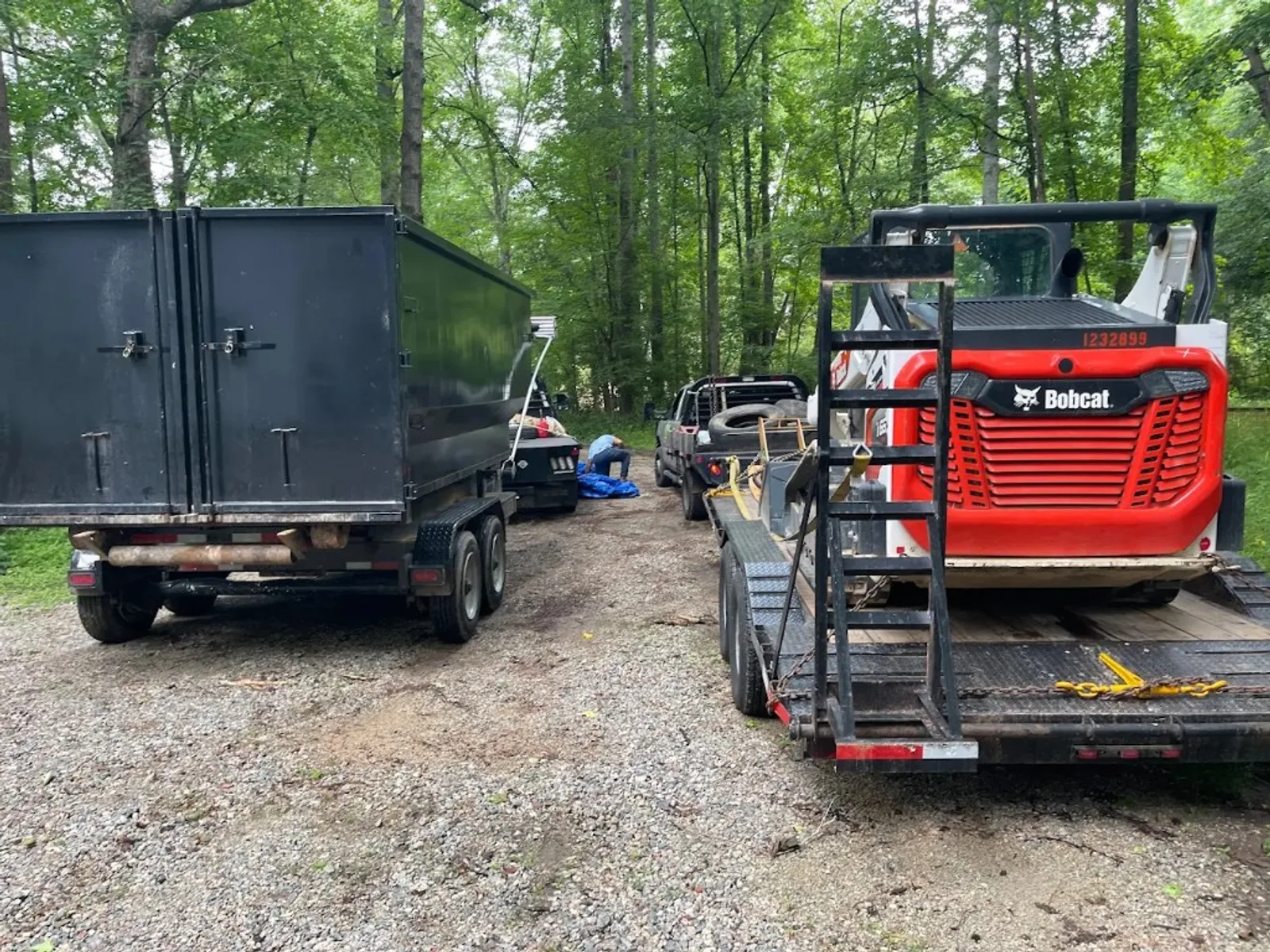 Bobcat clearing an overgrown lot