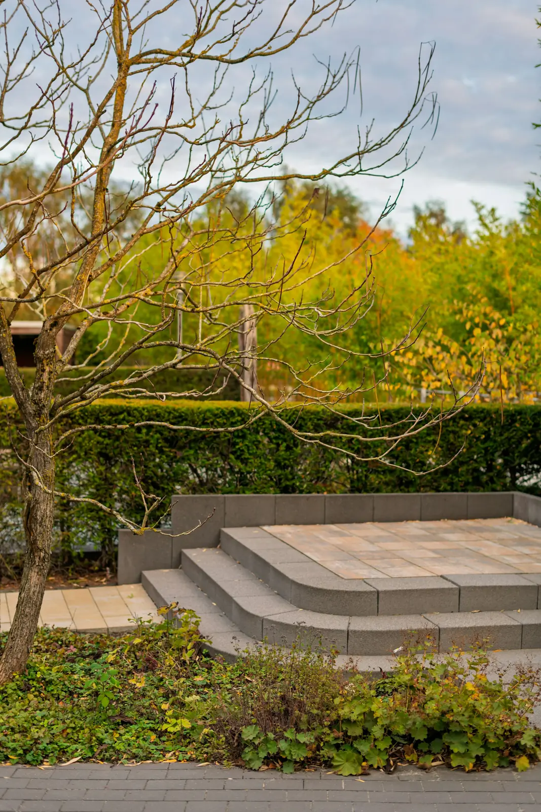 Hardscape detail photo