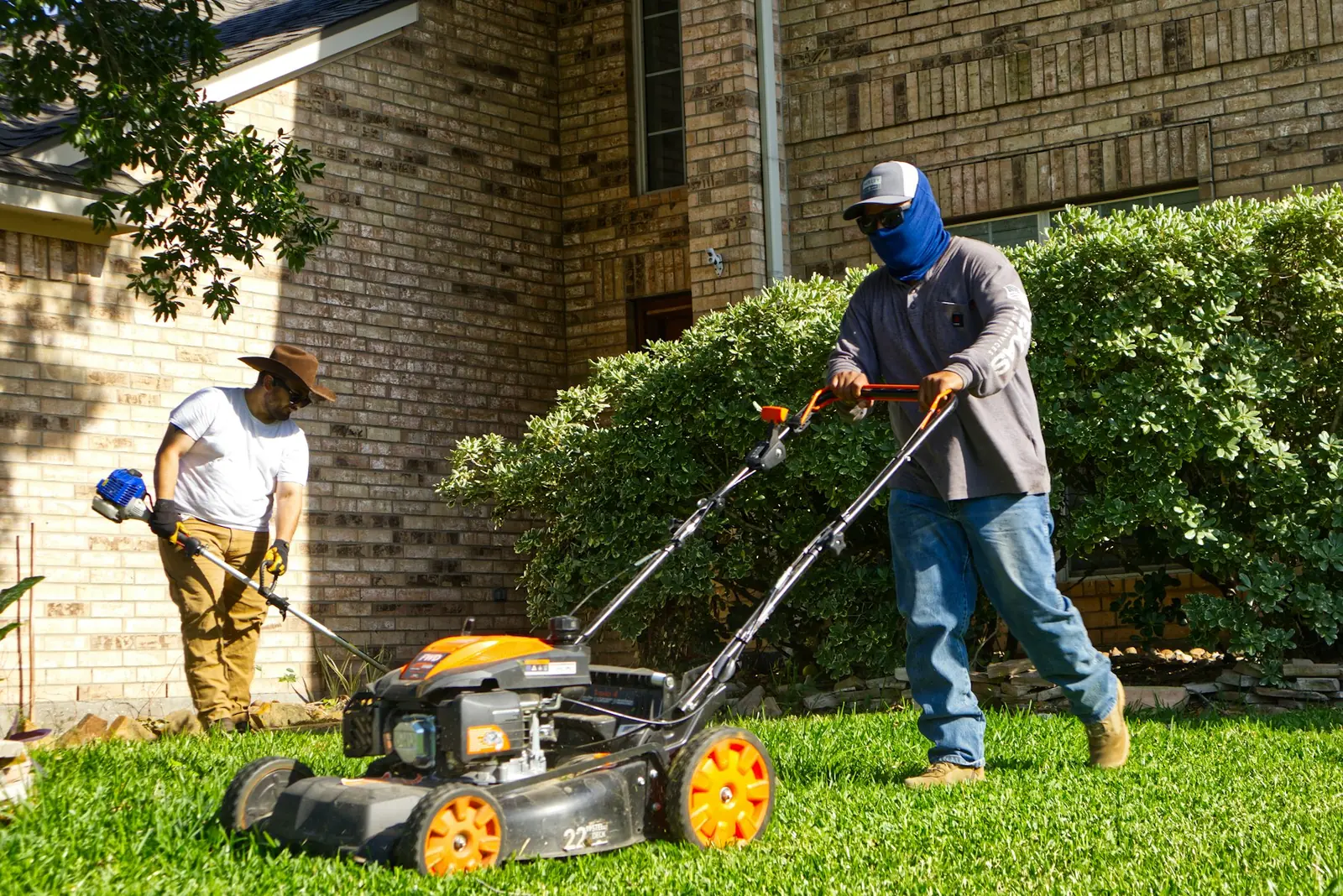 Lawn Care photo 3