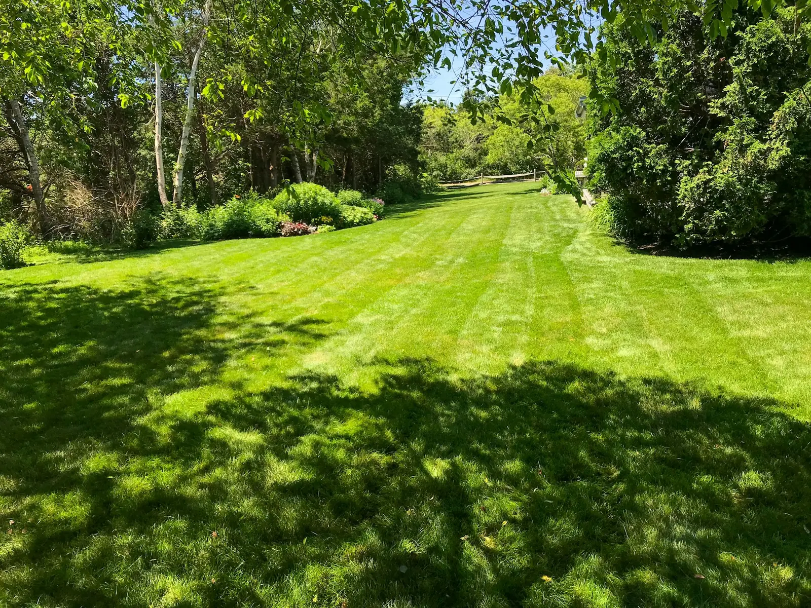 Clean striped lawn after leaf removal