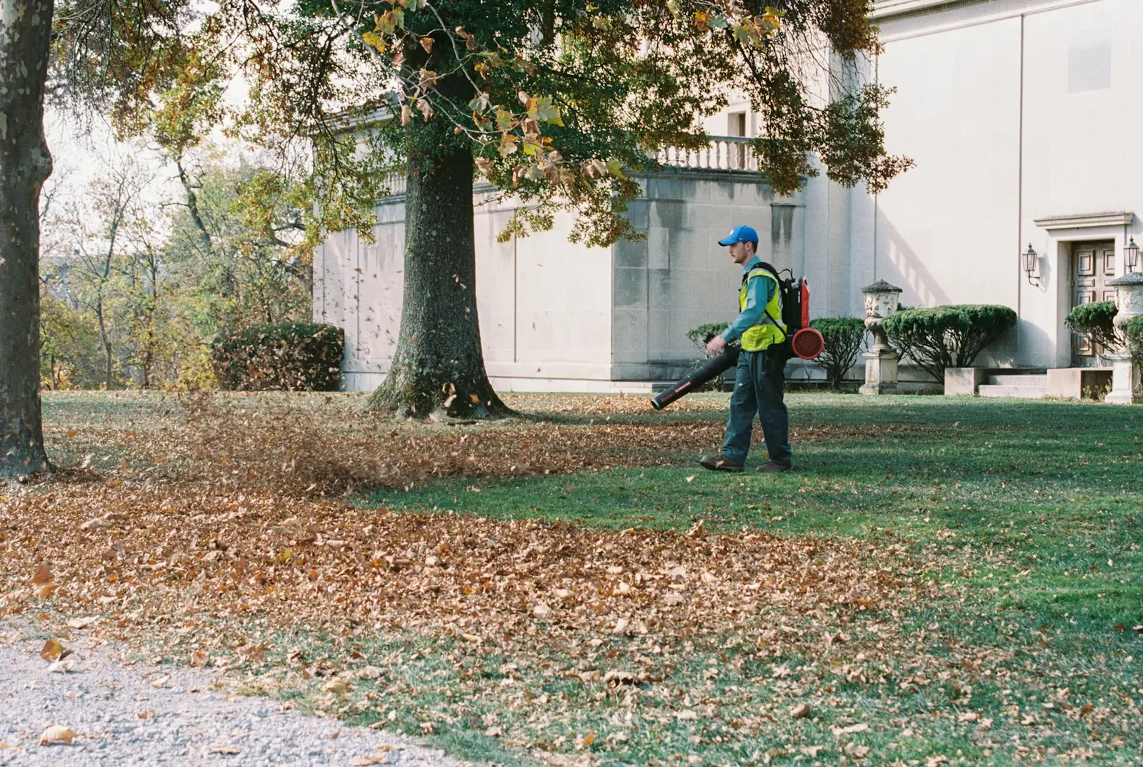 Leaf Removal detail photo