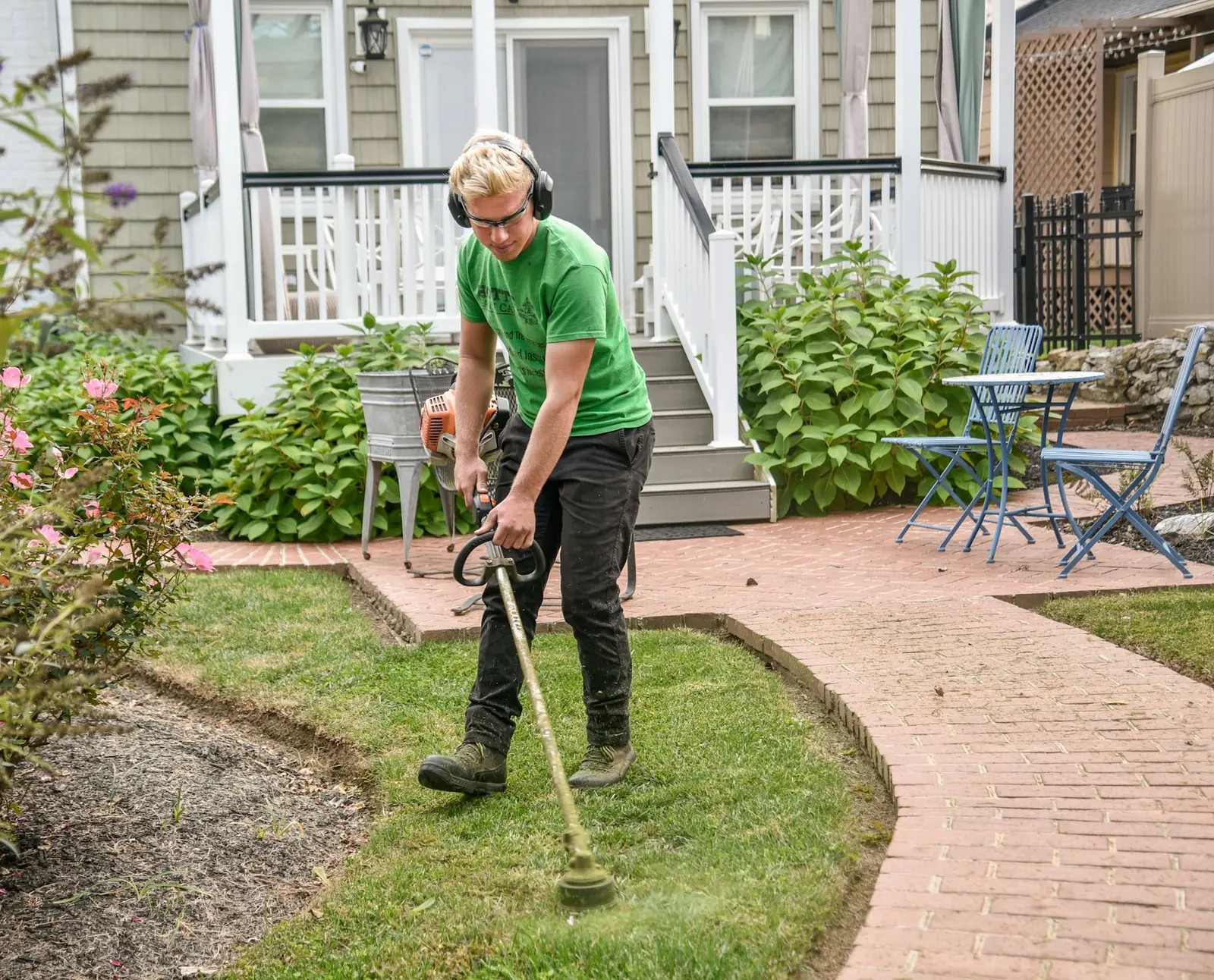 Yard Cleanup service
