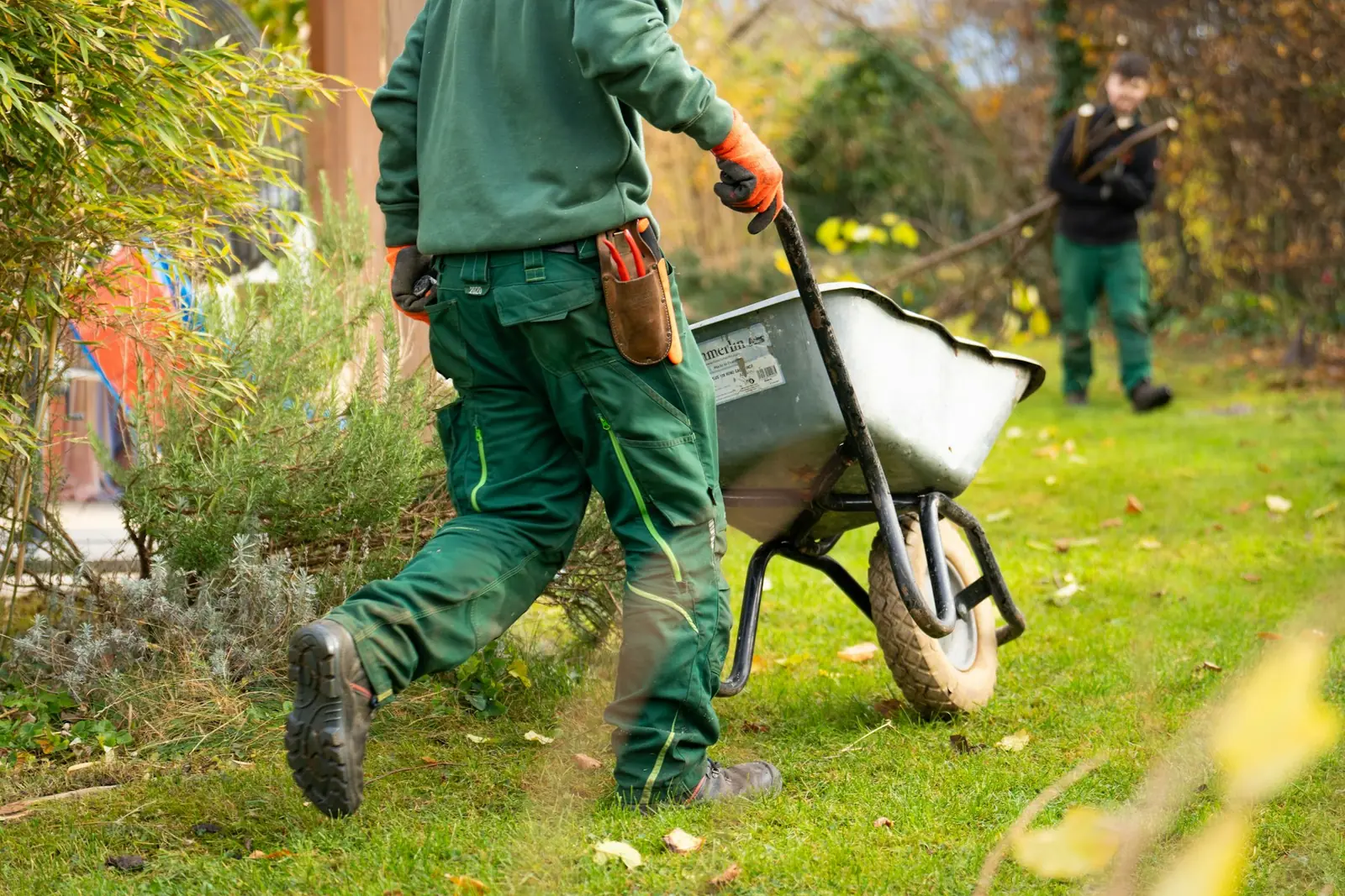 Yard Cleanup detail photo